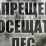 Ограничения на посещение лесов в Нижегородской области сохранятся до 19 октября - Газета Районный вестник