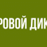 Нижегородцев приглашают принять участие в «Цифровом диктанте» - Газета Районный вестник