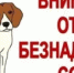 Отлов безнадзорных животных продолжается - Городской округ город Первомайск
